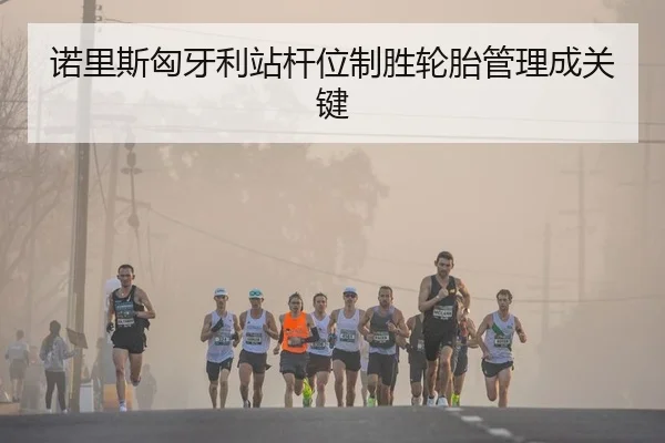 诺里斯匈牙利站杆位制胜轮胎管理成关键