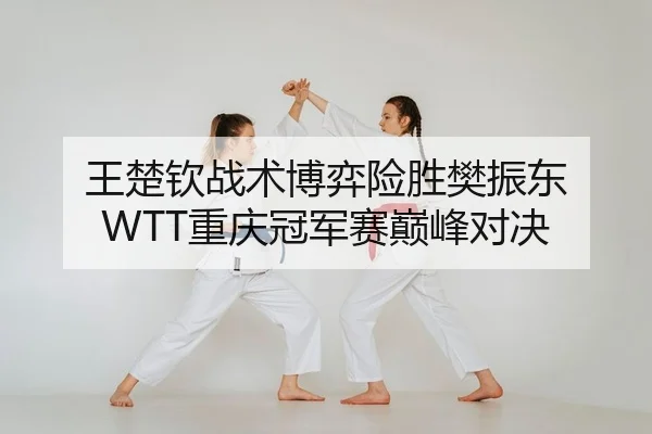 王楚钦战术博弈险胜樊振东 WTT重庆冠军赛巅峰对决